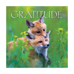 WSWS Gratitude Book
