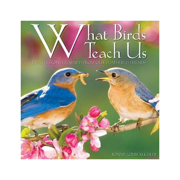 WSWS- What Birds Teach Us