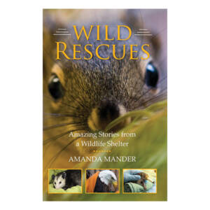 WSWS Wild Rescues
