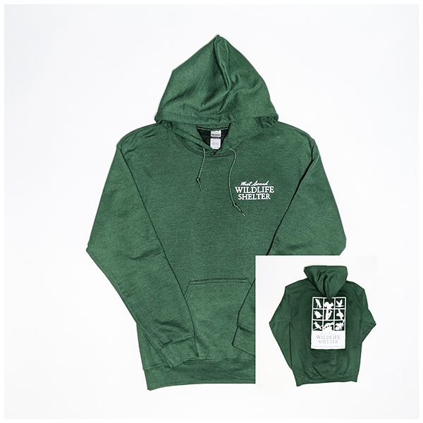 WSWS green pullover hoodie