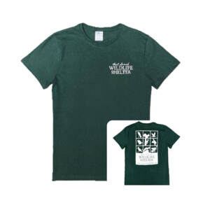 WSWS forest green ladies tshirt