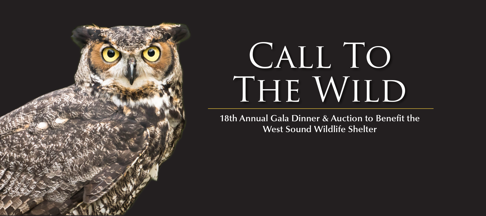 Call To The Wild Auction Gala